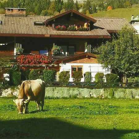 Haus Marluis Und Thomas Zint *